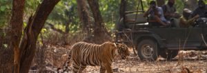 4 days Sariska Tour Package from Delhi