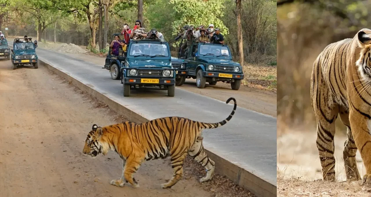 Ranthambore Tour Package from Jaipur