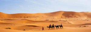 3 Nights 4 Days Rajasthan Tour package
