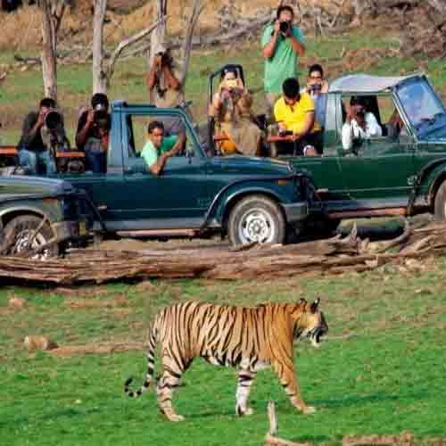 ranthambore-tour