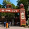 Jaipur Zoo entrance view with animals and greenery in Jaipur Rajasthan