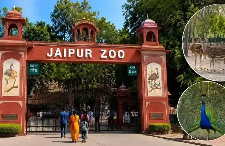 Jaipur Zoo entrance view with animals and greenery in Jaipur Rajasthan